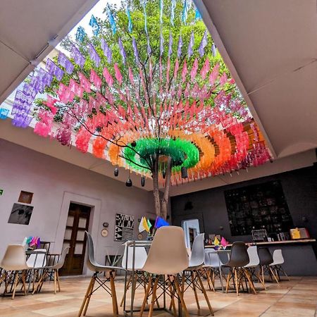 Bkl Hotel Oaxaca Exteriér fotografie