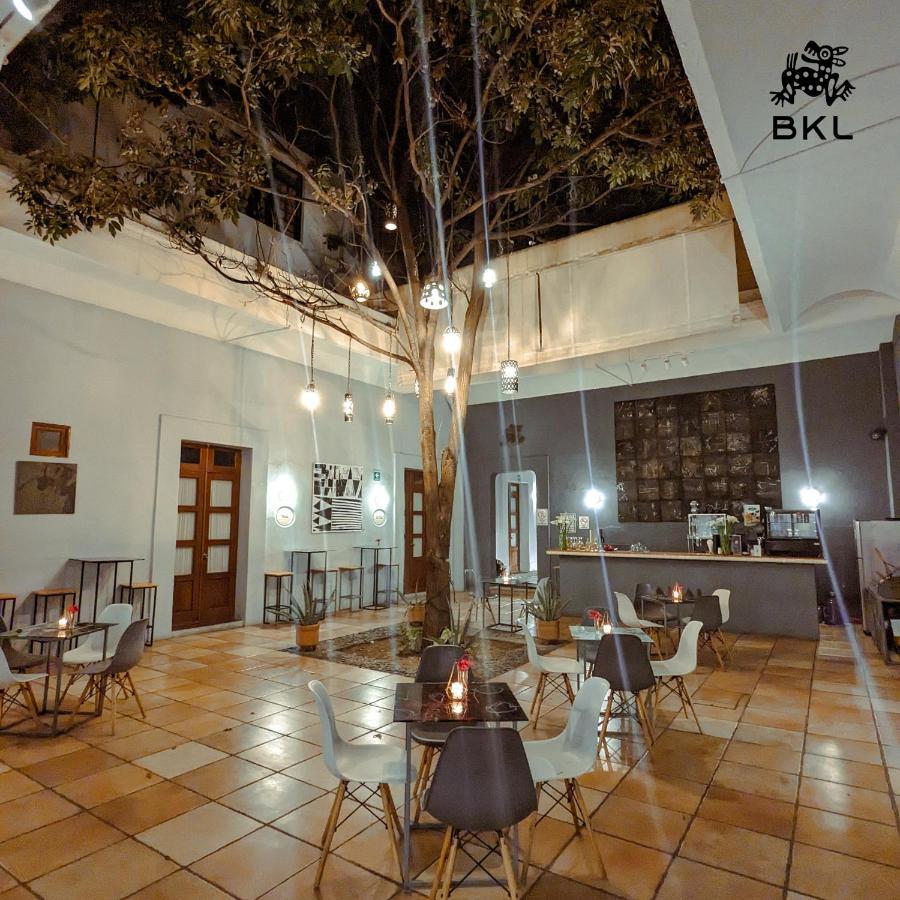 Bkl Hotel Oaxaca Exteriér fotografie